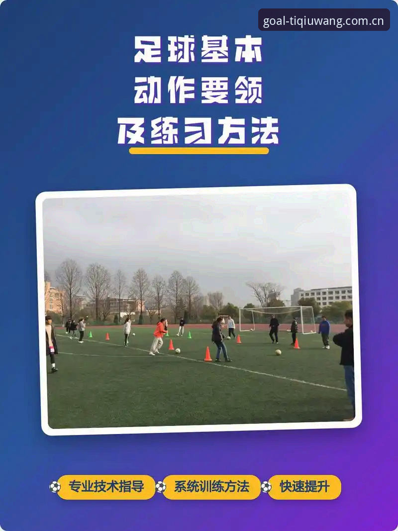 体球网足球官方体育资讯教程到底怎么用，才不算白下载？